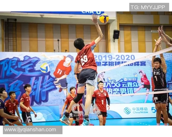 武汉排球队荣登排球节奏排行榜第九名展现出色竞技实力与团队合作精神